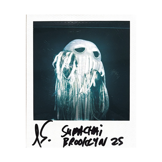 Signed Polaroid 004 - Brooklyn 2025